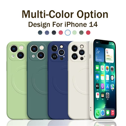 For Magsafe Magnetic Wireless Charge Case for Iphone 16 17 15 14 13 12 11 Pro Max plus Mini 16E Soft Liquid Silicone Strap Cover
